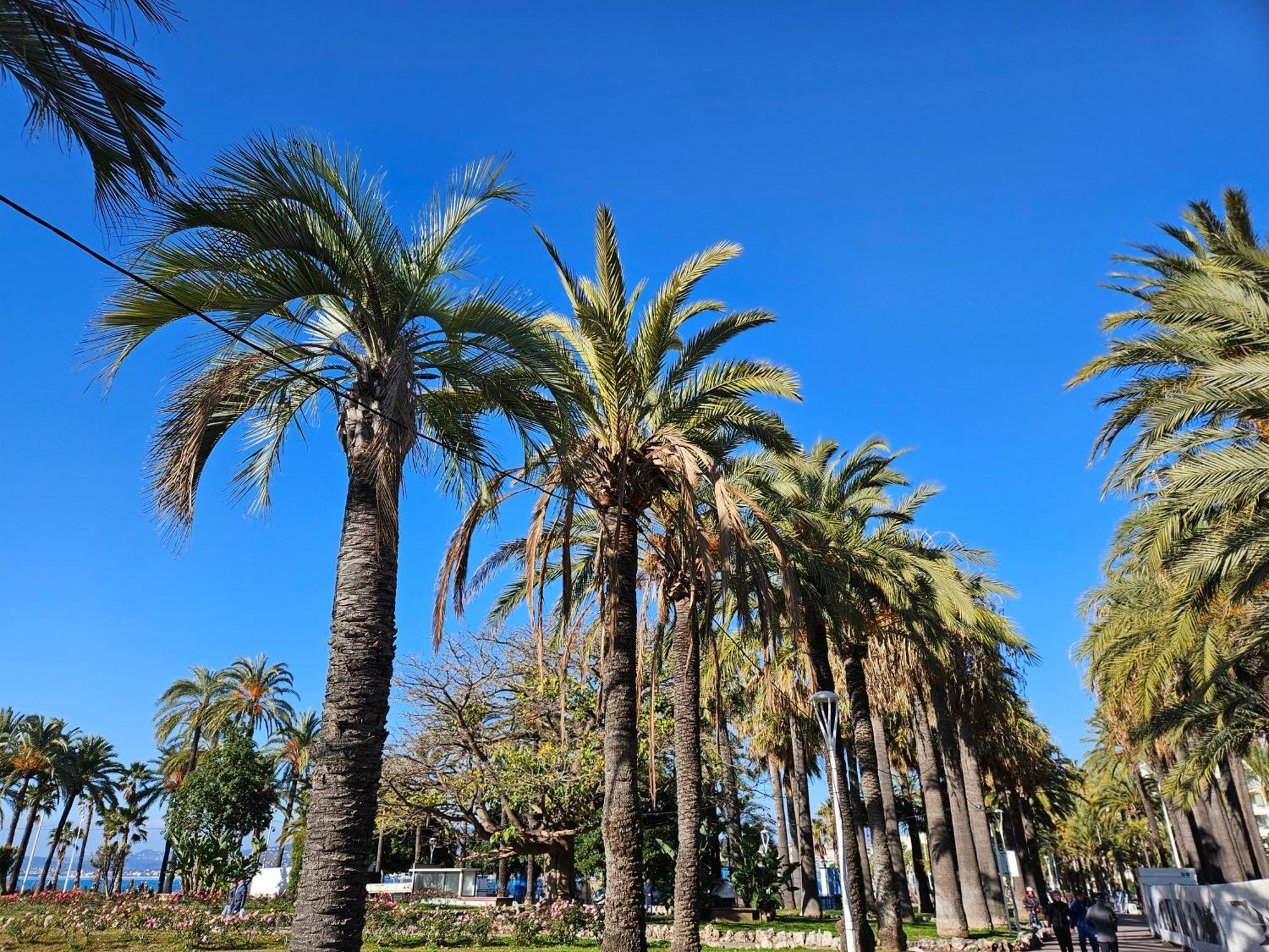 The Yachting - Host Provence Apartment Le Cannet Bagian luar foto